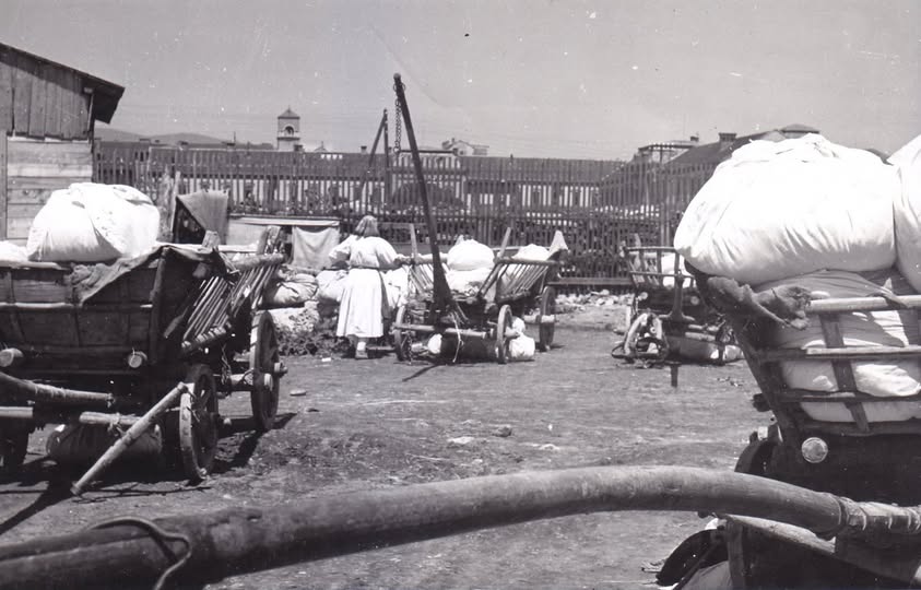 Na Sajmištu 1955. godine (Foto Tošo Dabac)